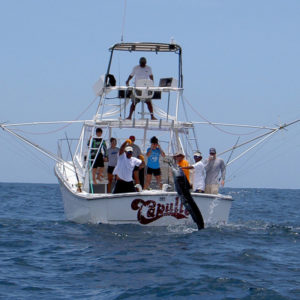 Sport Fishing Charters