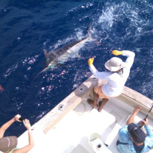 Outcast full day charter